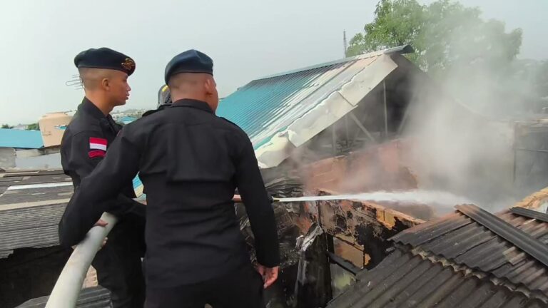 WhatsApp Image 2025-09-15 at 17.57.47_e27067ab