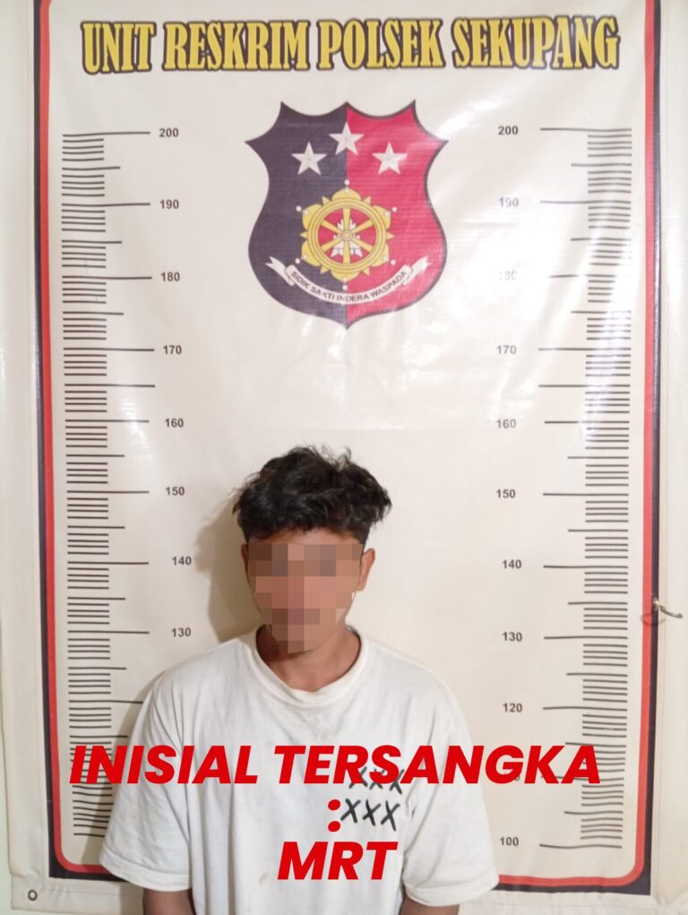 WhatsApp Image 2025-10-09 at 17.56.59_dabf0307