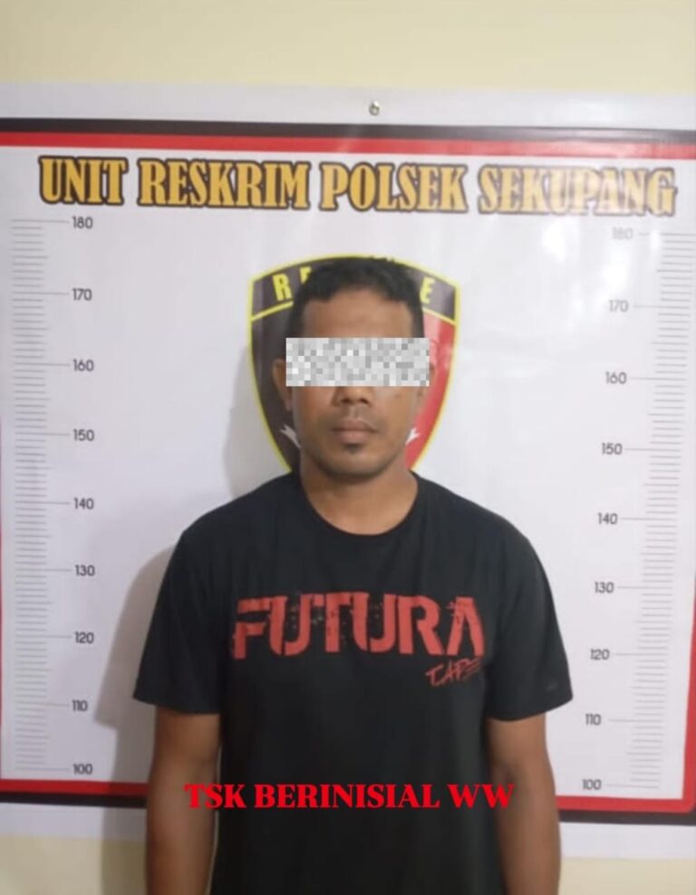 WhatsApp Image 2025-11-13 at 17.29.48_d74d183b